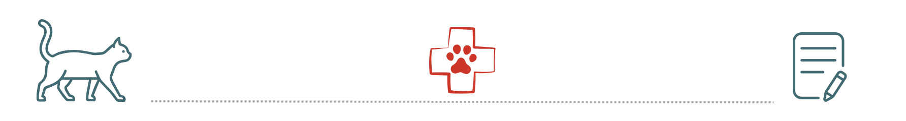 veterinarian discussing pet insurance options in Keaau, HI for cats and dogs